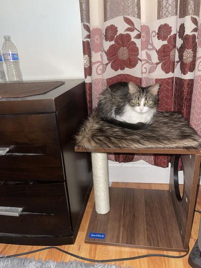 A bit small, but does the job!