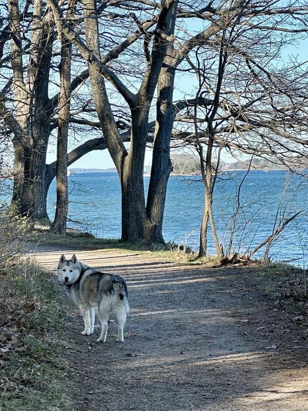 The best pup on the planet 🩷