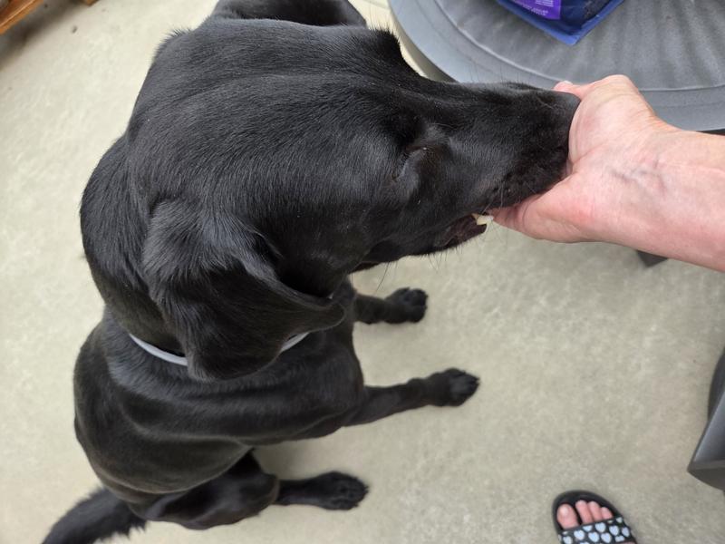 Yummy with Nutrition!