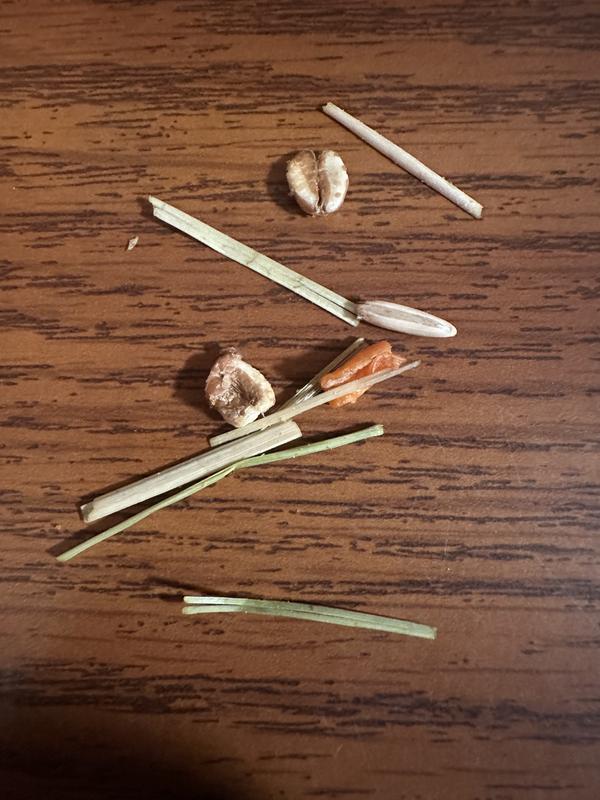 Very poor quality control on the maker of the product!