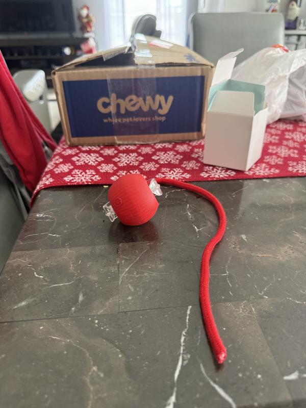 Fun and Engaging Toy