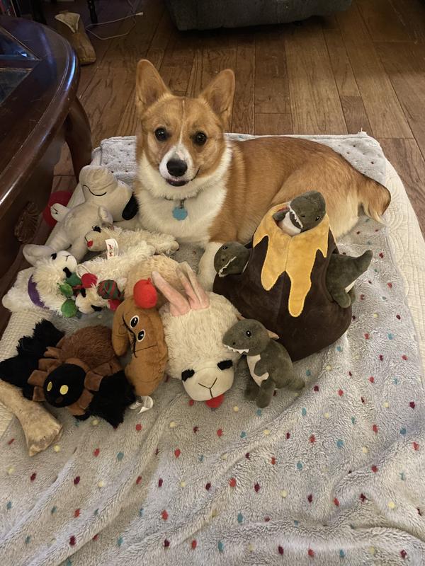 Wallace and his favorite toys