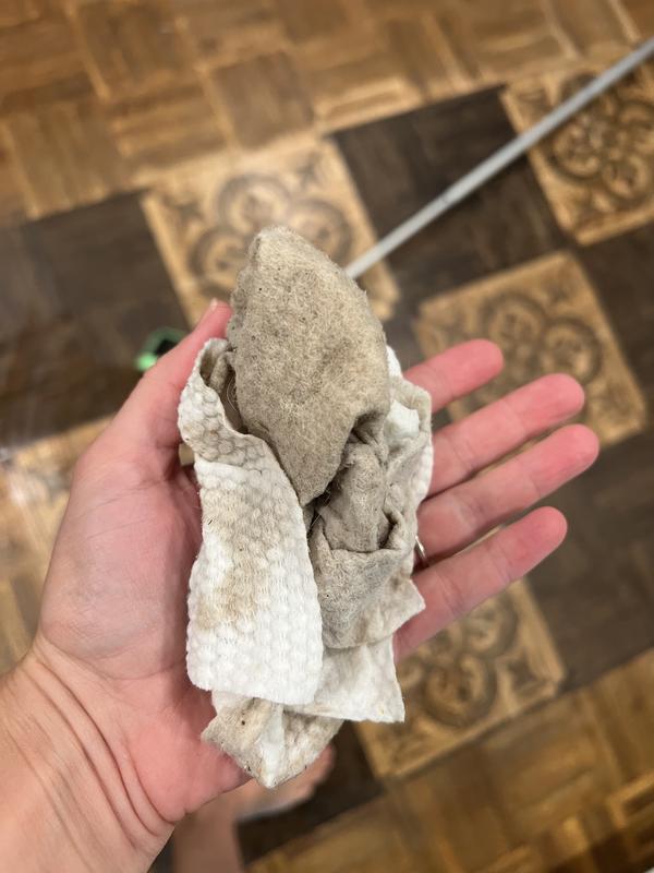 Bye bye all that dirt and germs