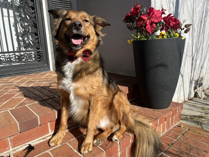 Russ hamming it up with his new bow tie