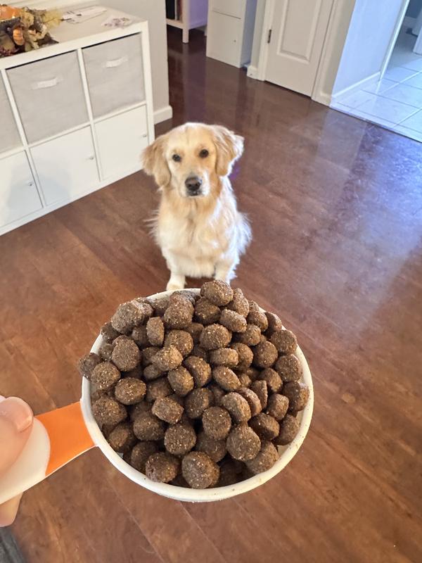 Brown Rice Diy Homemade Dog Food Recipes Premium Dog Food Small