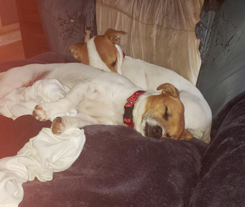 Knocked out from their spa experience tonight.