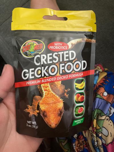 Zoo med gecko outlet food