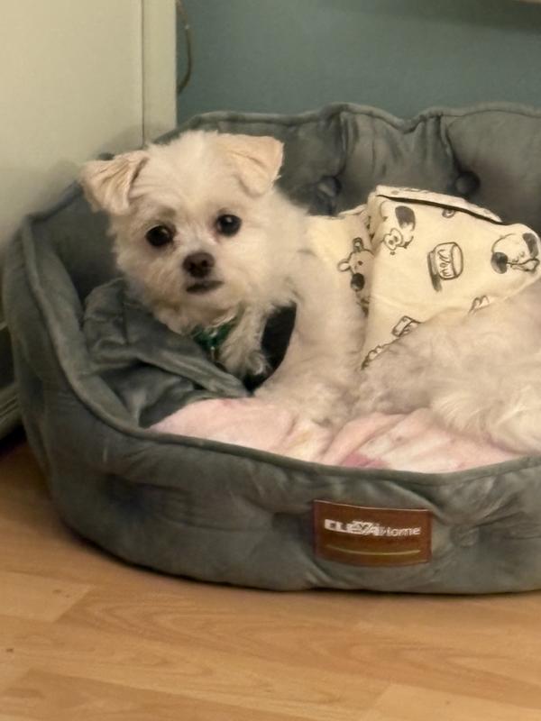 Waiting for the mailman.