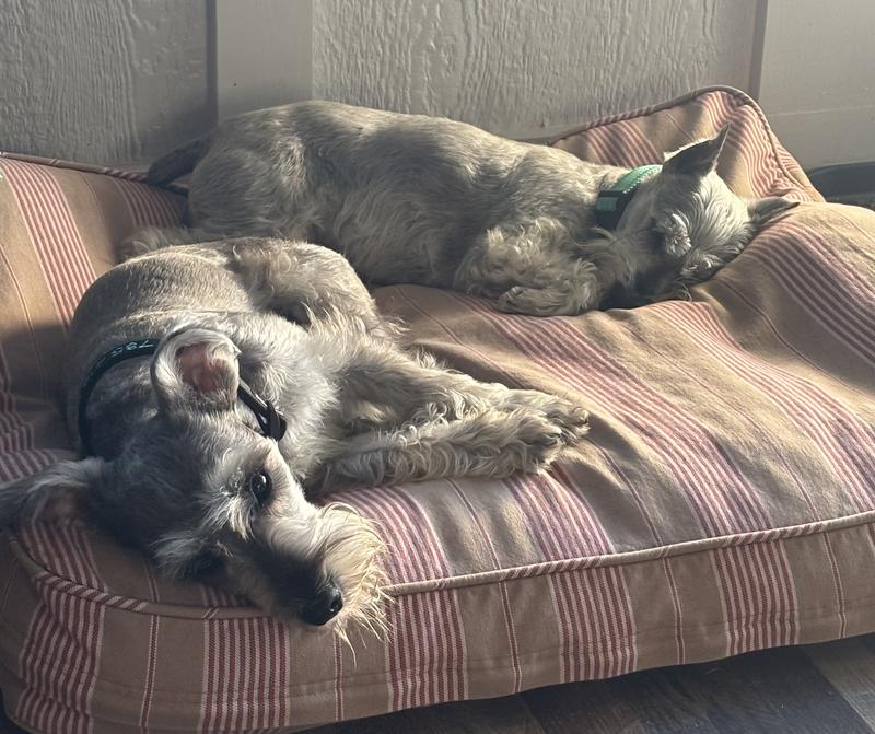 Two of four💖💖💖💖