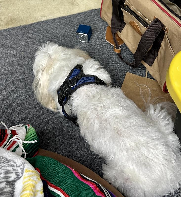 My mommy knows how to take care of me.