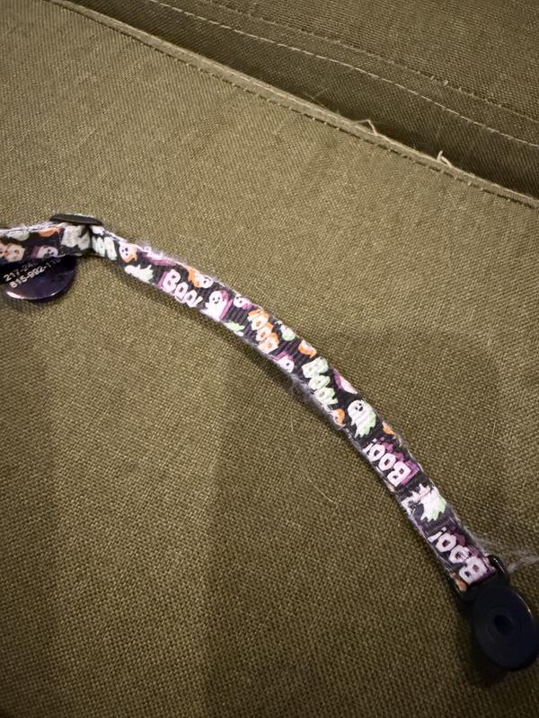 The inside of the collar