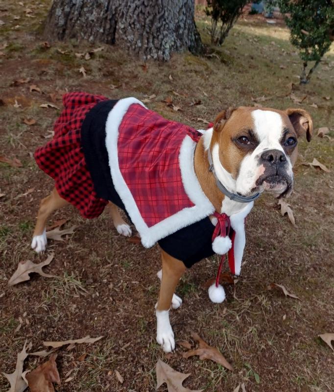 Xmas Pic!