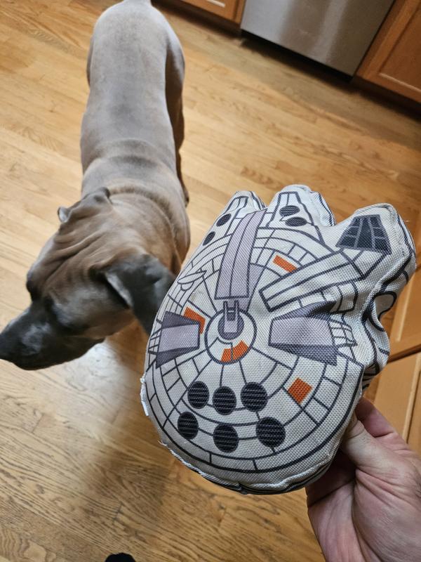 Millennium falcon dog sales bed