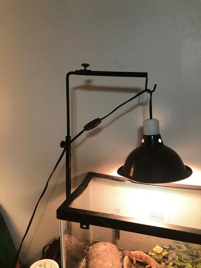 Zoo med reptile lamp hot sale stand