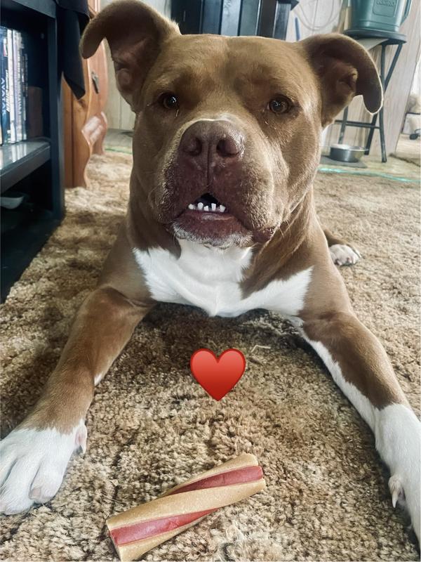Can I eat my treat yet?? -Havoc