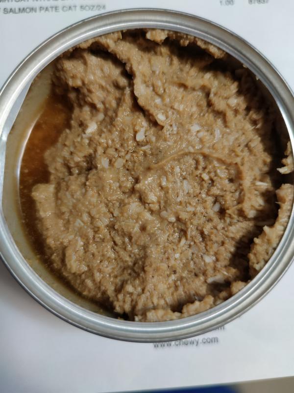 Would you eat this? If you say no then don't feed it to your cat either.