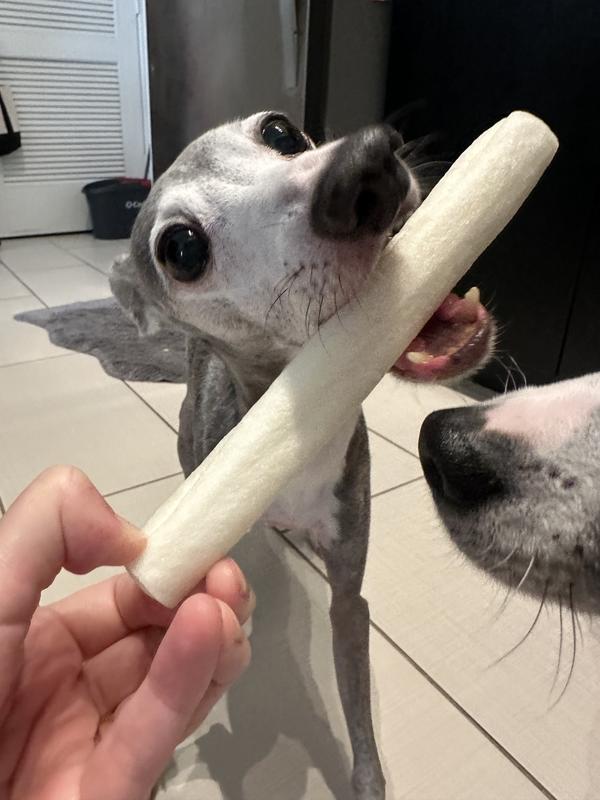 He goes crazy for these!