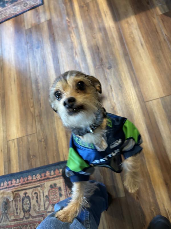 Hey Dad, is the game on yet?