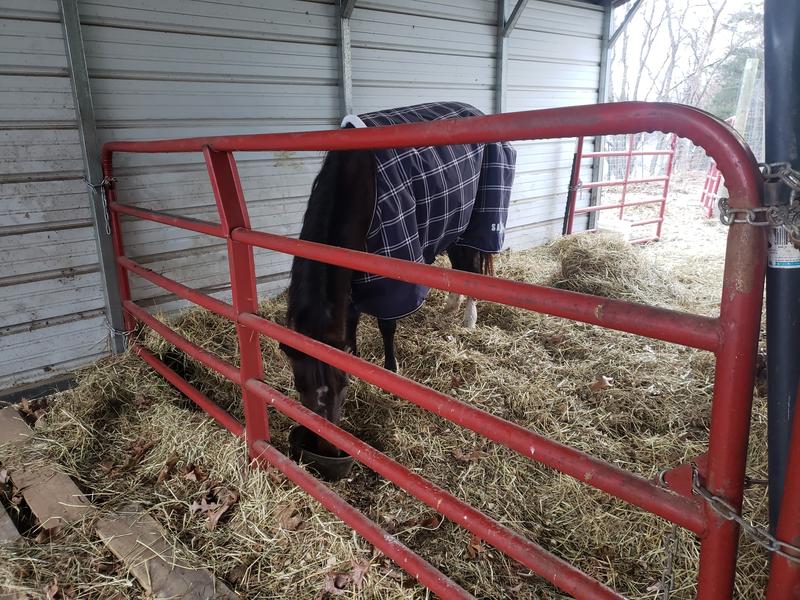 Snug in the cold now