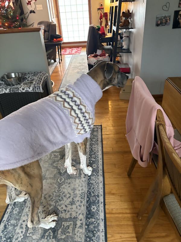 It fits with room to spare