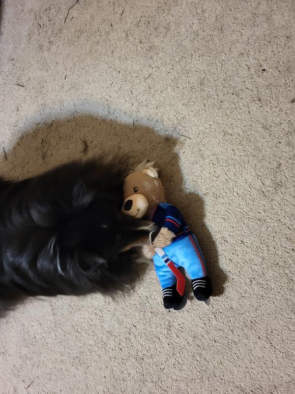 Belle with her friend Frisco