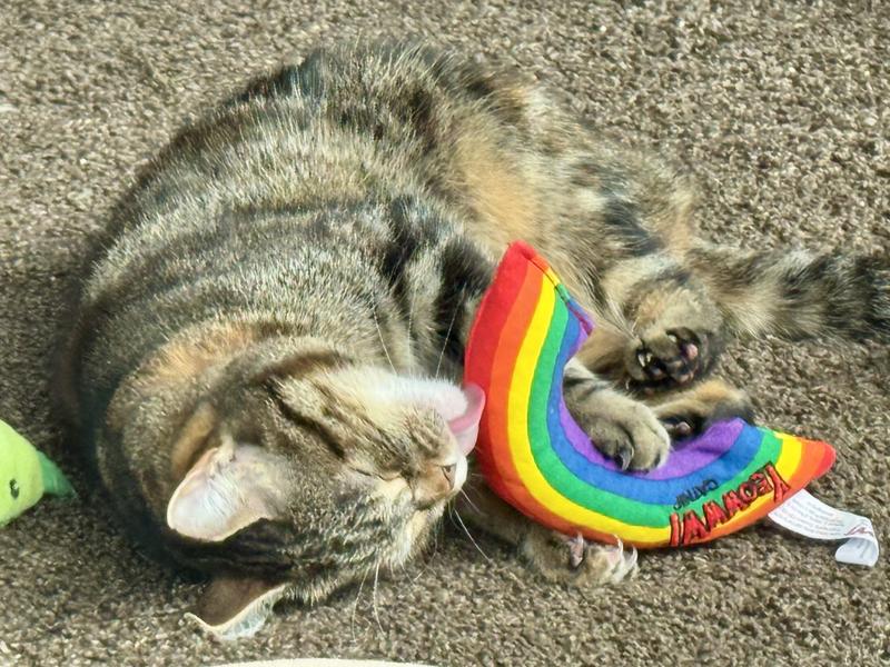 Lily tasting the rainbow