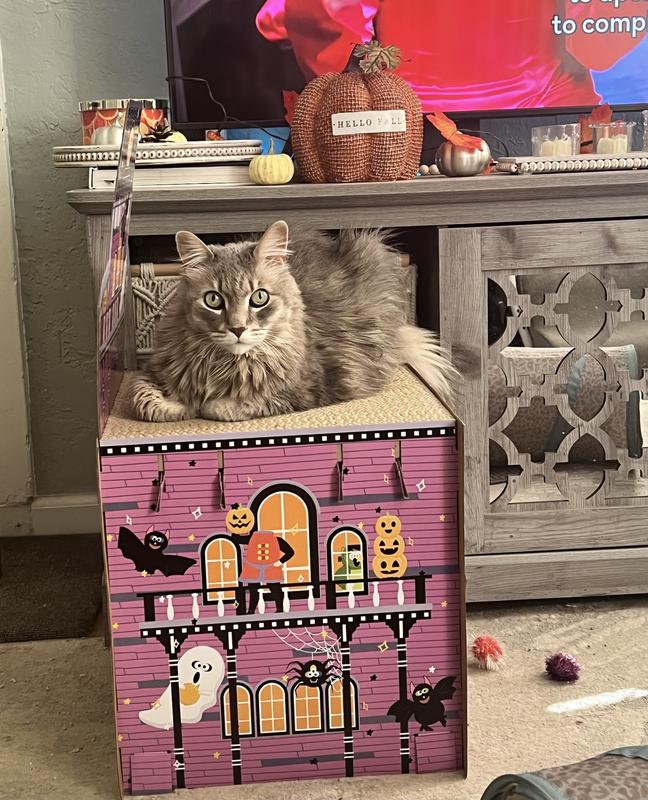 Cardboard cat house halloween best sale