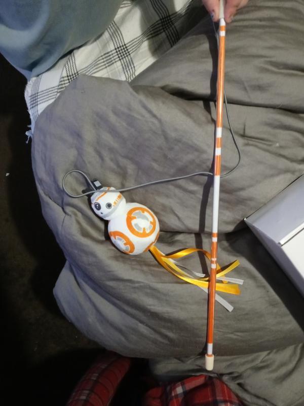 Bb8 best sale cat toy