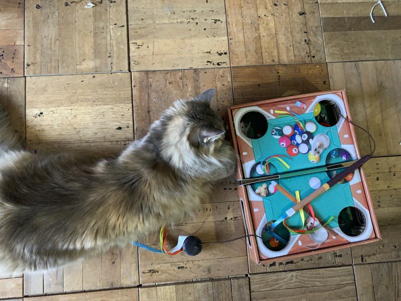 KONG Playground Pool Table Game & Puzzle Cat Toy with Catnip ...