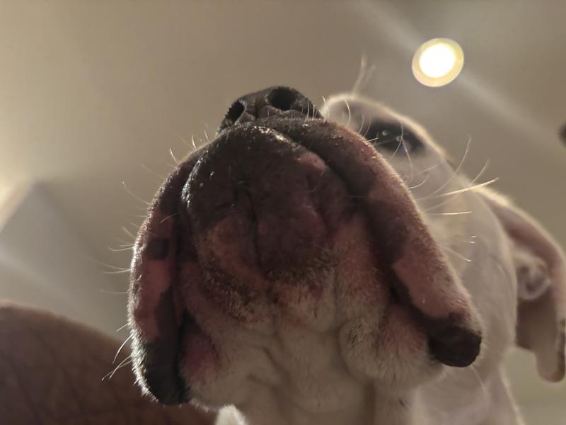 Swollen and burns inside mouth!