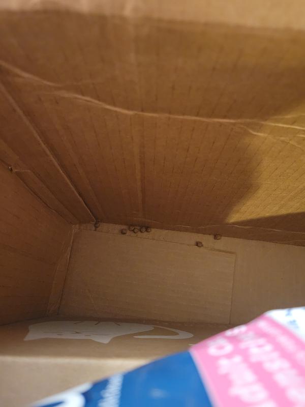 Dry food from OPEN bag all in the bottom of the box