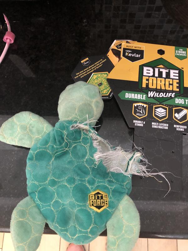 Bite Force Built with Kevlar Tough Plush Turtle Dog Toy