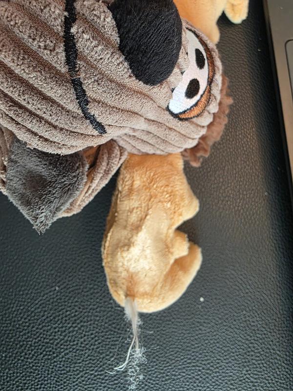 Mr. Moose's torn atelier.