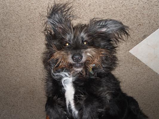 Charlie at his best.