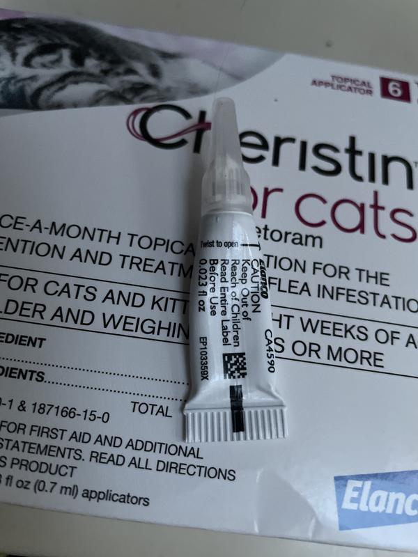 Cat Flea Control Cheristin Flea Treatment Reviews Cheristin Cat