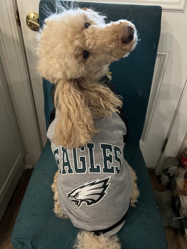 Dan the fan.