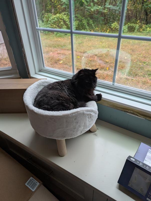 Now Roary has taken over, so I've just ordered a second one for him ❤️