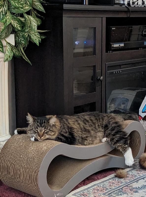 PETFUSION Ultimate Cat Scratcher Lounge Toy with Catnip, Walnut Brown