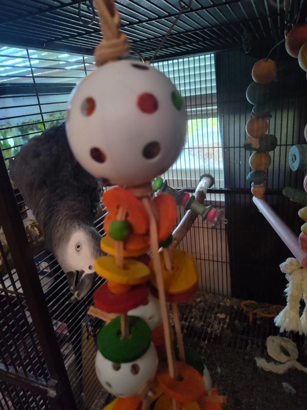 first encounter - interest spiked