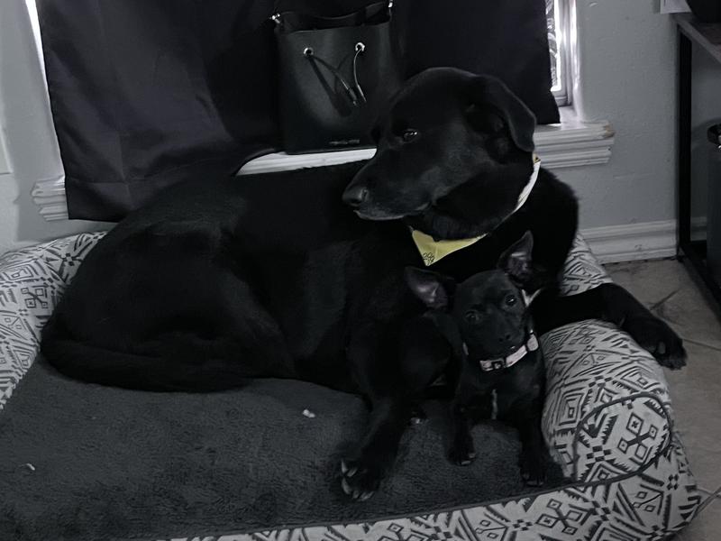 Lil sis and big bro together <3