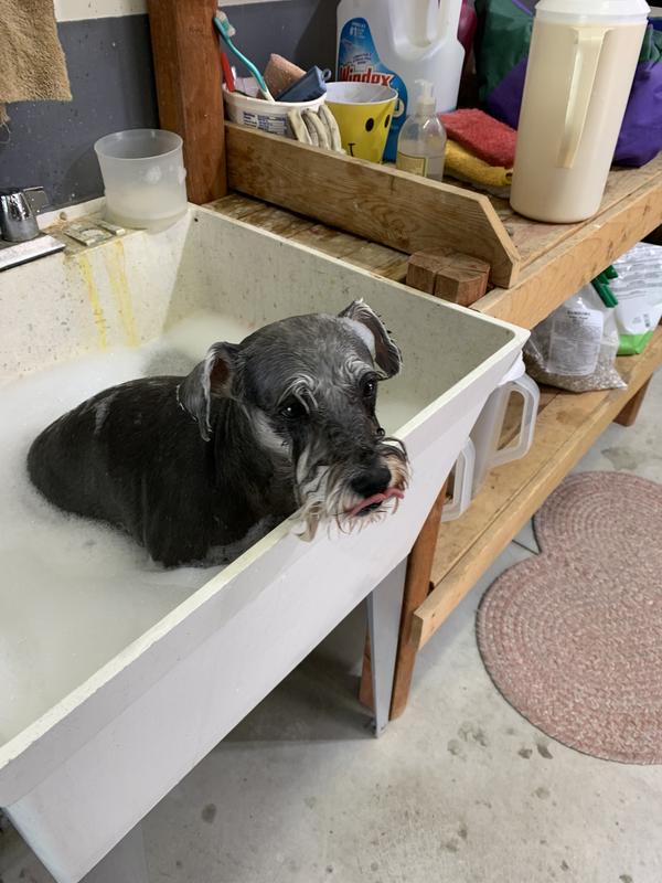 She really loves it I think