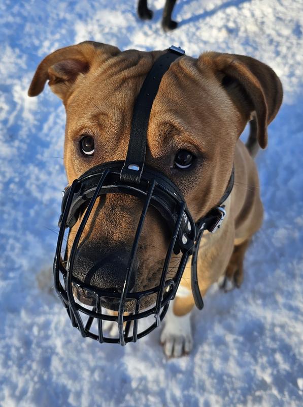 Don't let him fool you, he's having a great time in daycare group 😆
