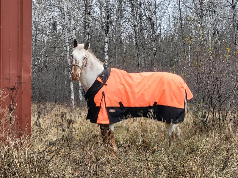 Safe during hunting season in my blaze orange.