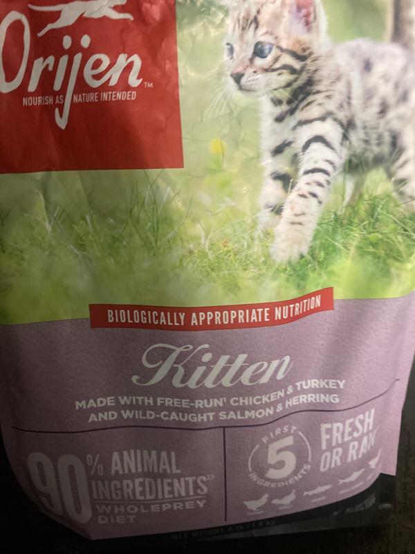 best wet cat food weruva Weruva BFF Tuna & Turkey Tickles Recipe Pouches Wet Cat Food - Brookline,  MA main image 1