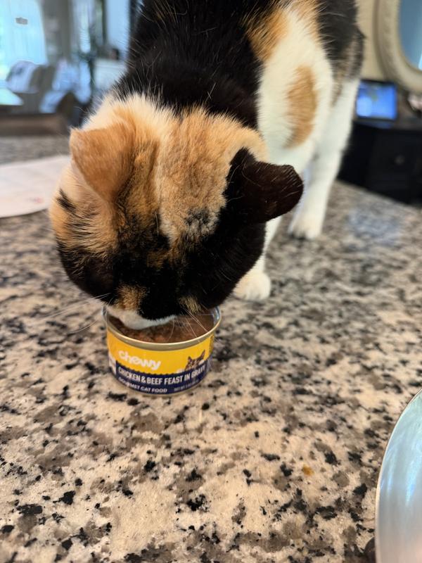 Abbey couldn’t wait for me to get it out of the can!