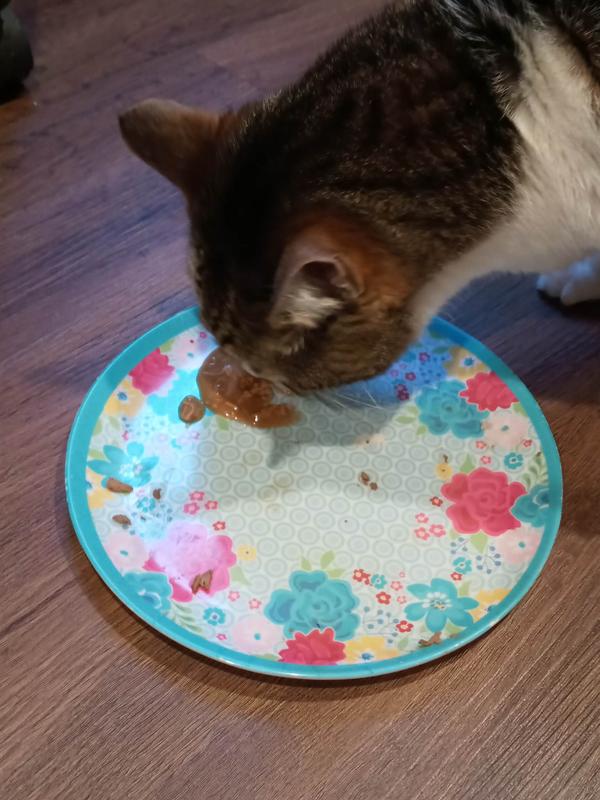 HARTZ Delectables Gravy Non Seafood Chicken Lickable Cat Treats, 1.4oz