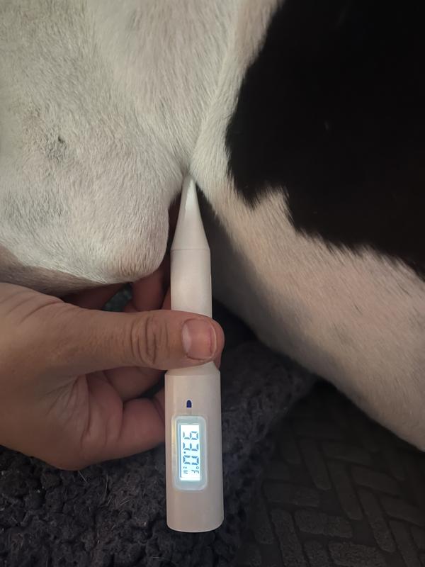Mella Home Pet Thermometer