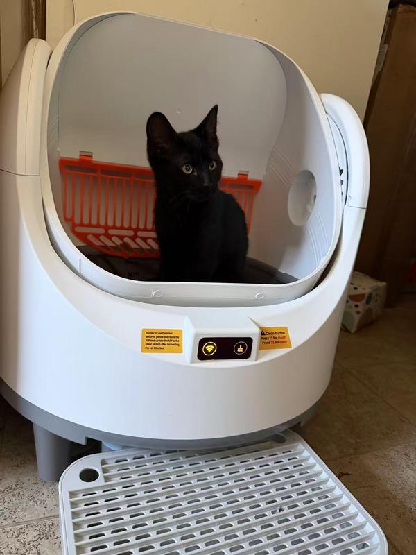 AORUEFAR Open-Top Smart Self Cleaning Cat Litter Box Bundle, White -  Chewy.com