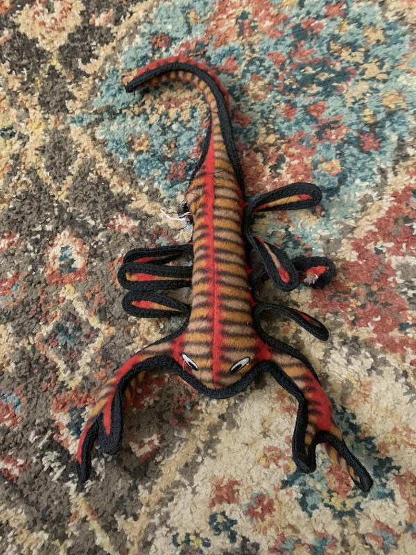 Just one leg gone!!!