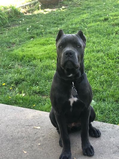 6 months old